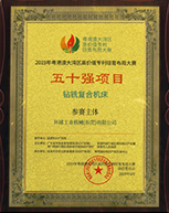 五十强项目-环球