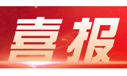 环球再度荣获中国模协评定的“年度优秀供应商”